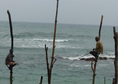 Sri Lanka 2017, Stelzenfischer bei Weligama