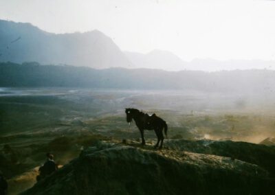 Java 1992, Pferd in der Caldera unter dem Vulkan Bromo