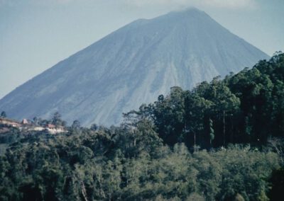 Flores 1993, Vulkan Inerie
