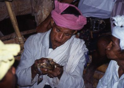 Sumba 1993, beim Zaigho, Überprüfung des Tierorakels