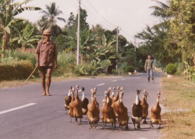 Java 1992, Enten auf der Straße