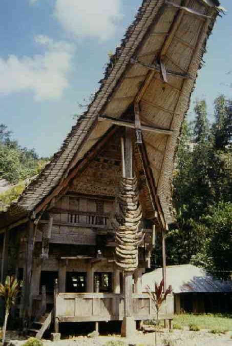 Sulawesi 1994