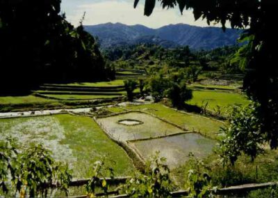 Sulawesi 1994, Reisfelder