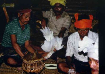 Sumba 1993, Tierorakel beim Zaigho