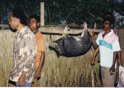 Alor 1997, Schwein wird gebracht fürs Fest