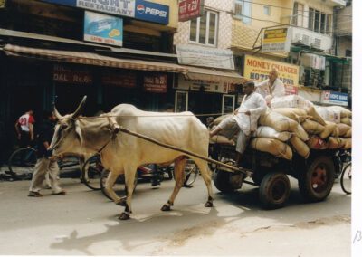 Ladakh 2003, in Delhi, Paharganj Main Bazaar Road